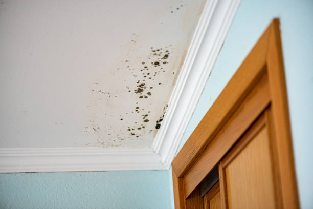 Water Damage Restoration in Eagan, MN