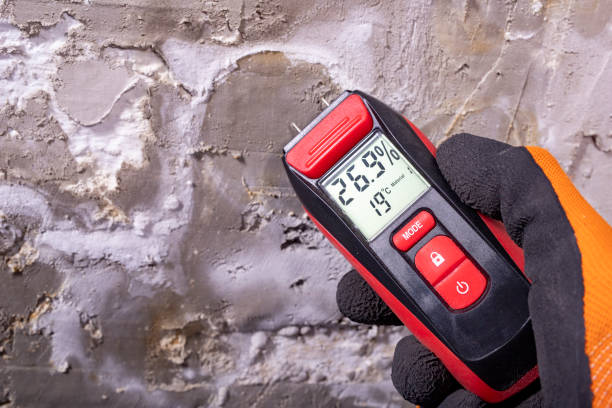 Best Certified Mold Removal  in Eagan, MN