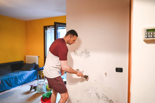Best Affordable Mold Removal  in Eagan, MN